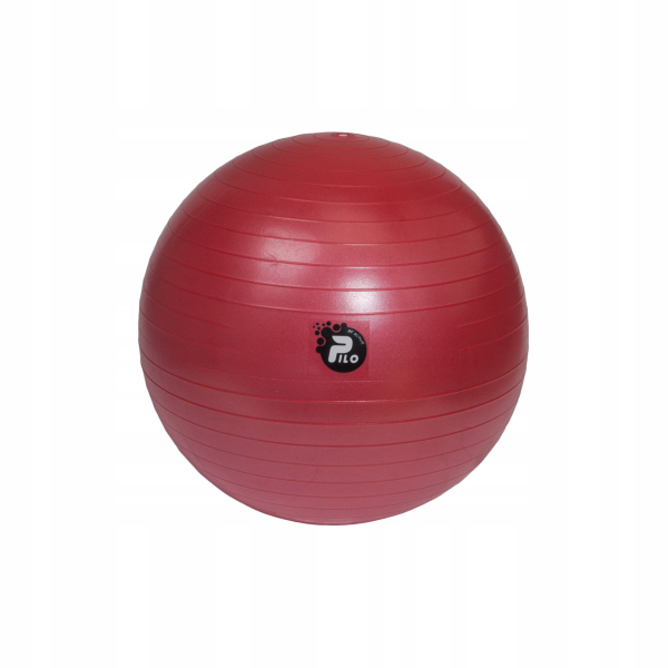 Piłka Rehabilitacyjna 55 cm ABS do ćwiczeń – Fitness i joga z pompka